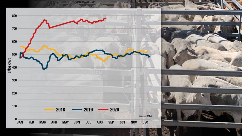 The Eastern Young Cattle Indicator 2020 Graph